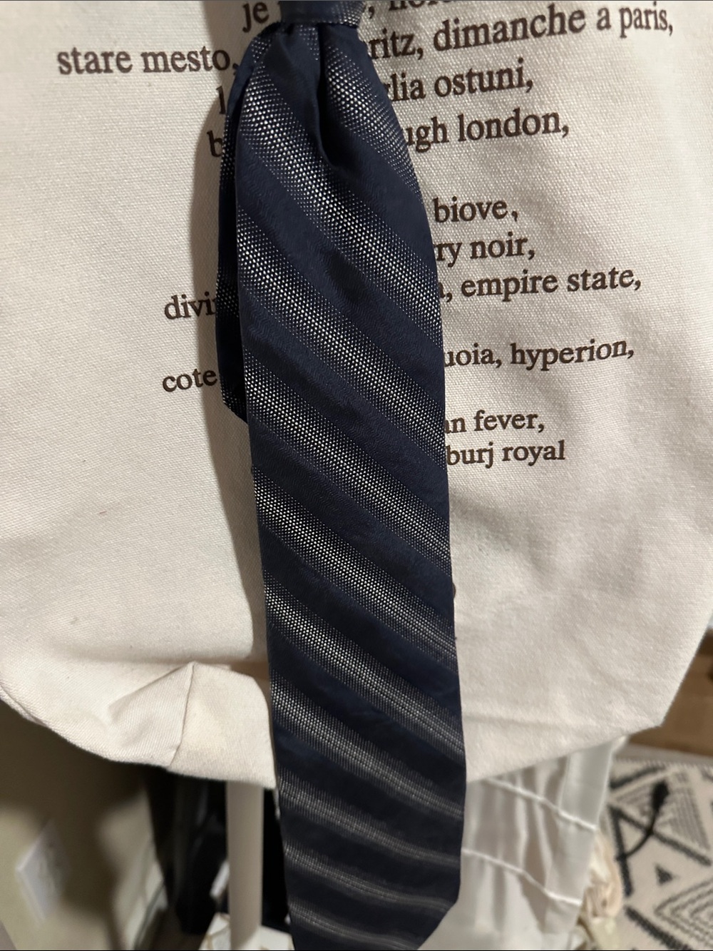Express Navy and Silver Diagonal Stripe Tie